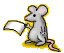 Observant Mouse